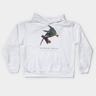 Carolina Parakeet / Perruche a Tete Jaune - 19th century Jacques Barraband Illustration Kids Hoodie